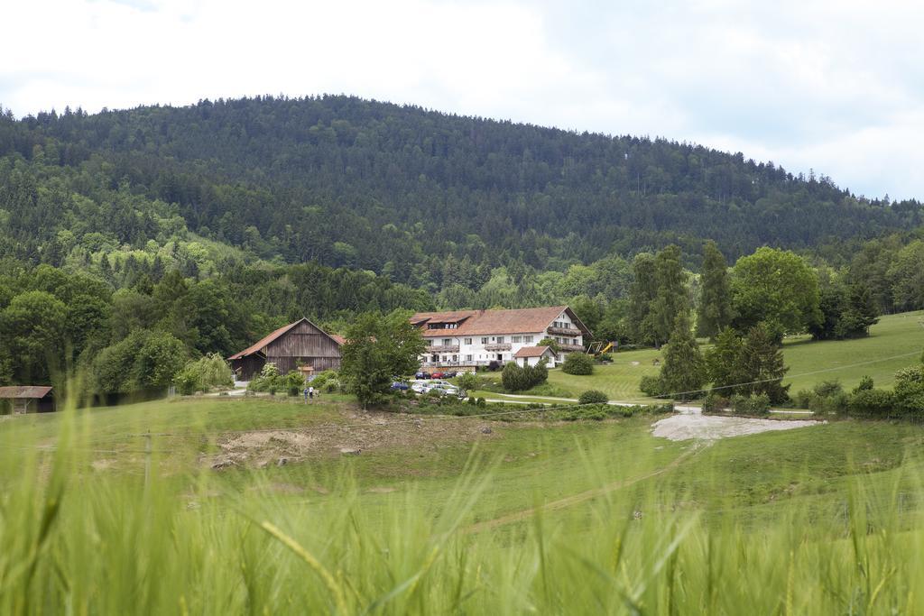 Wild-Berghof Buchet Hotel Bernried Bilik gambar