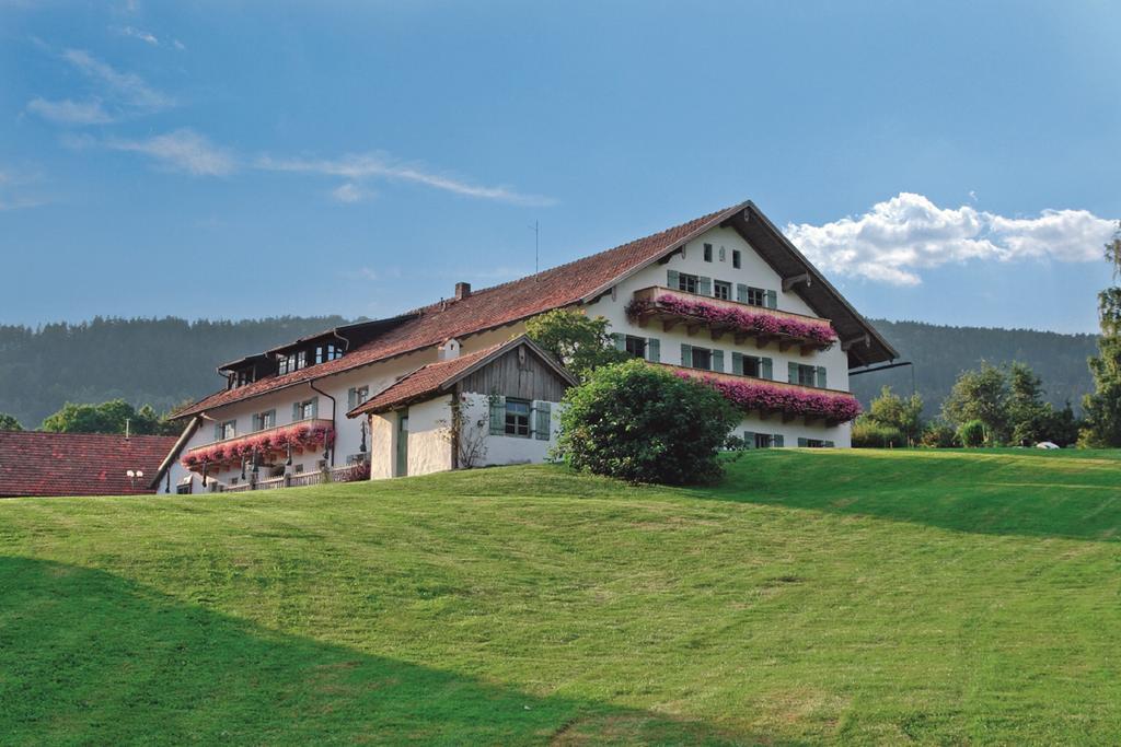Wild-Berghof Buchet Hotel Bernried Luaran gambar