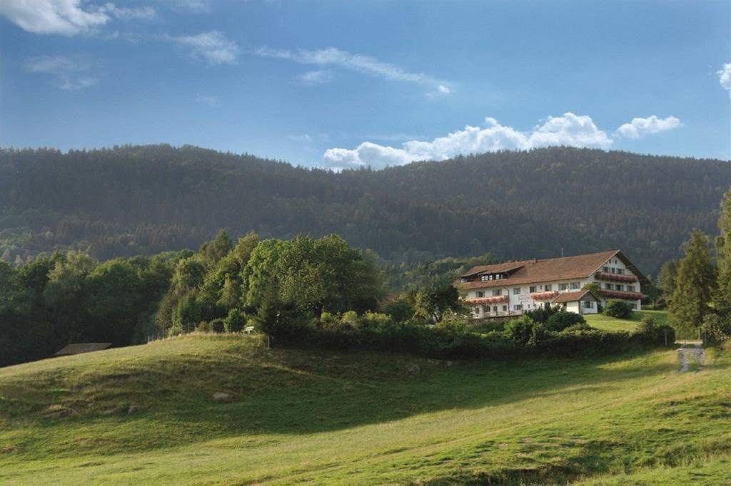Wild-Berghof Buchet Hotel Bernried Luaran gambar